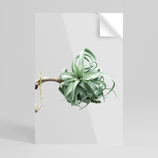 TANGLE OF NATURE Poster verticale staccabile e attaccabile