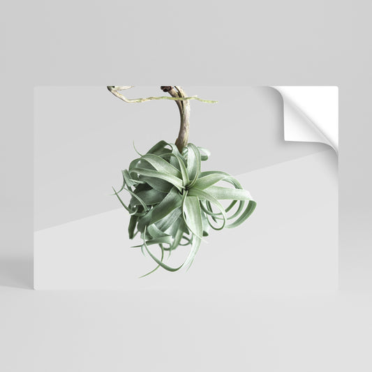 TANGLE OF NATURE Poster orizzontale staccabile e attaccabile