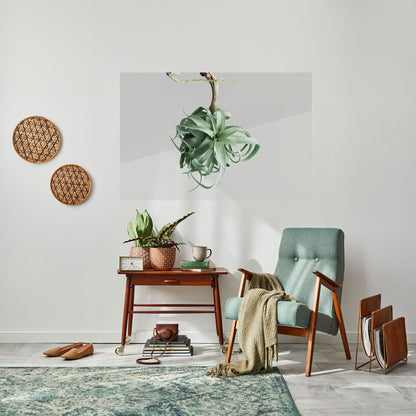 TANGLE OF NATURE Poster orizzontale staccabile e attaccabile