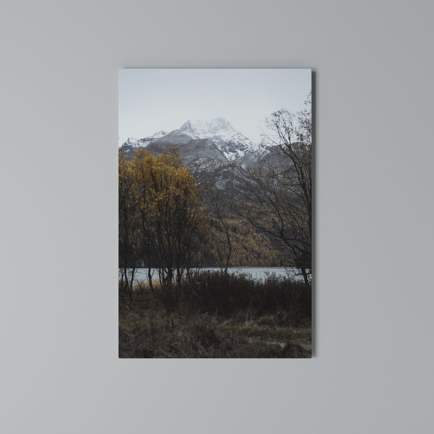 AUTUMN'S SILENT EMBRACE Vertical Canvas Print