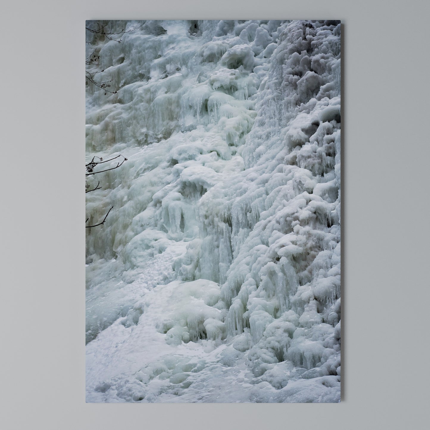 FROSTED WHISPERS Stampa su Tela Verticale