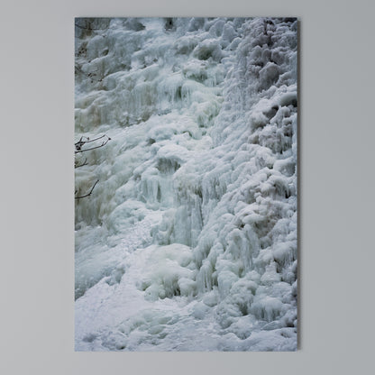 FROSTED WHISPERS Stampa su Tela Verticale