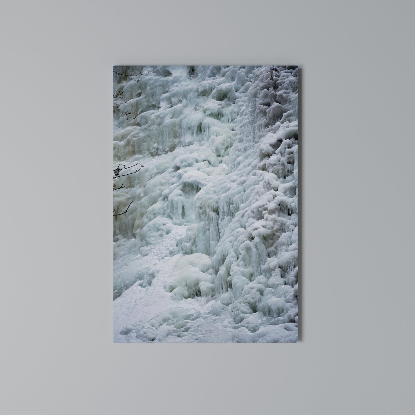 FROSTED WHISPERS Stampa su Tela Verticale