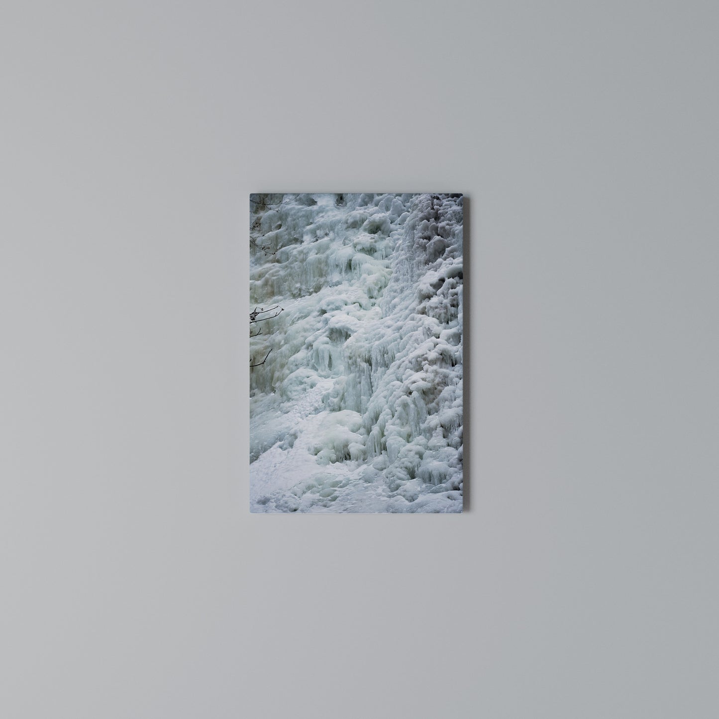 FROSTED WHISPERS Stampa su Tela Verticale