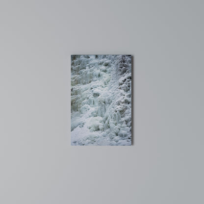 FROSTED WHISPERS Stampa su Tela Verticale