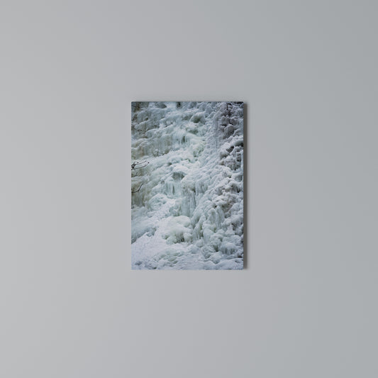 FROSTED WHISPERS Stampa su Tela Verticale