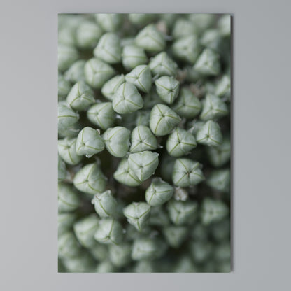 TEXTURED GREEN TIDBITS Stampa su Tela Verticale