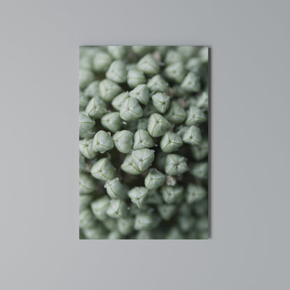 TEXTURED GREEN TIDBITS Stampa su Tela Verticale