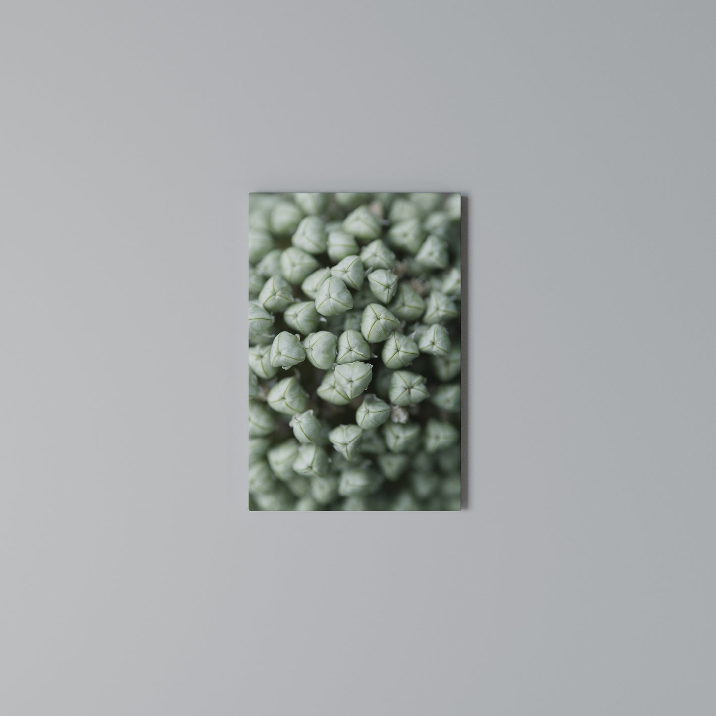 TEXTURED GREEN TIDBITS Stampa su Tela Verticale