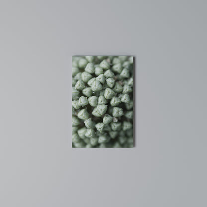 TEXTURED GREEN TIDBITS Stampa su Tela Verticale