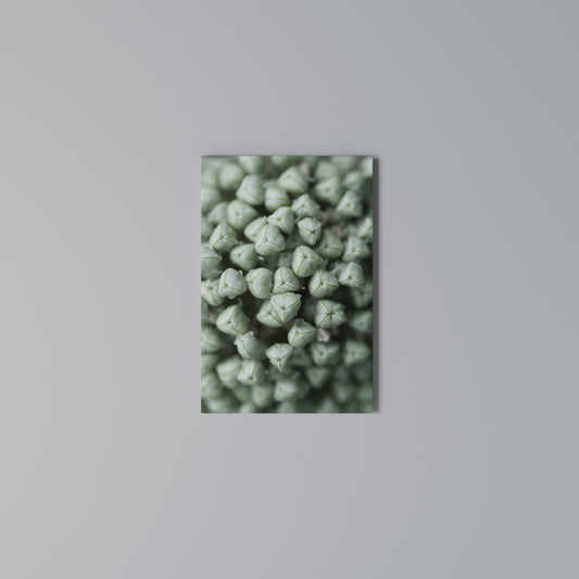 TEXTURED GREEN TIDBITS Stampa su Tela Verticale