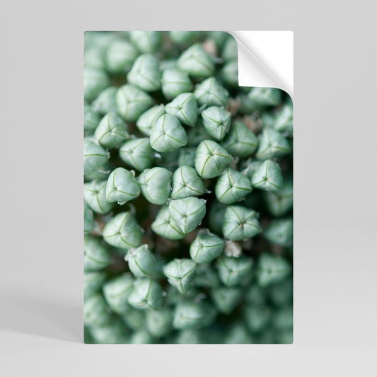 Poster verticale staccabile e attaccabile con TIDBITS VERDI TEXTURED
