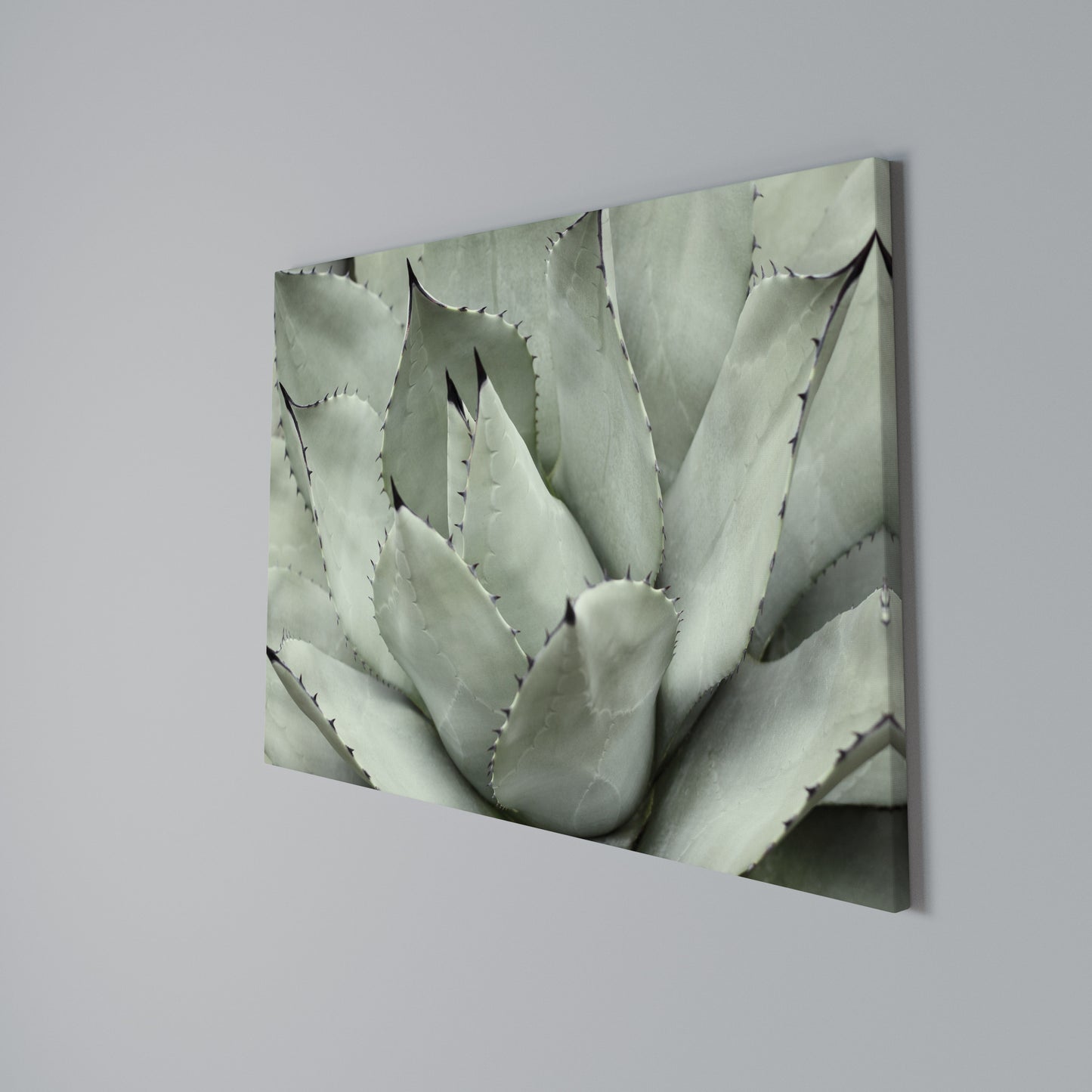 MYSTICAL SUCCULENT DREAM Stampa su tela orizzontale