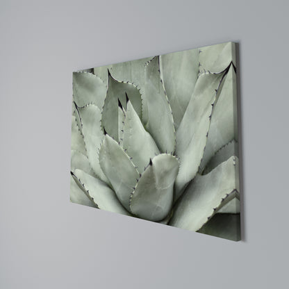 MYSTICAL SUCCULENT DREAM Stampa su tela orizzontale