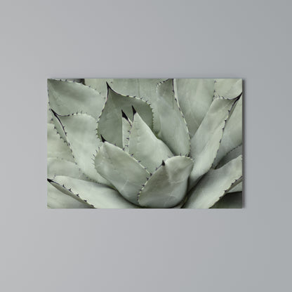 MYSTICAL SUCCULENT DREAM Stampa su tela orizzontale