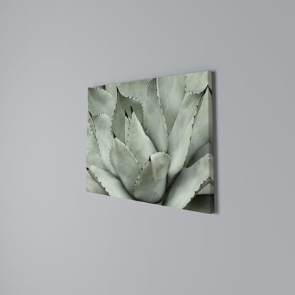 MYSTICAL SUCCULENT DREAM Stampa su tela orizzontale