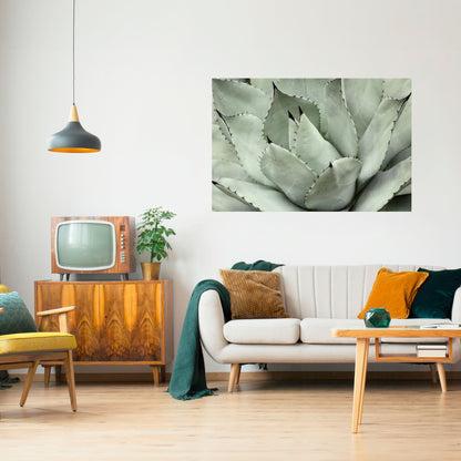 Poster orizzontale staccabile e attaccabile SOGNO MISTICO SUCCULENTO