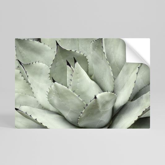 Poster orizzontale staccabile e attaccabile SOGNO MISTICO SUCCULENTO