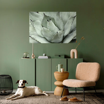 Poster orizzontale staccabile e attaccabile SOGNO MISTICO SUCCULENTO