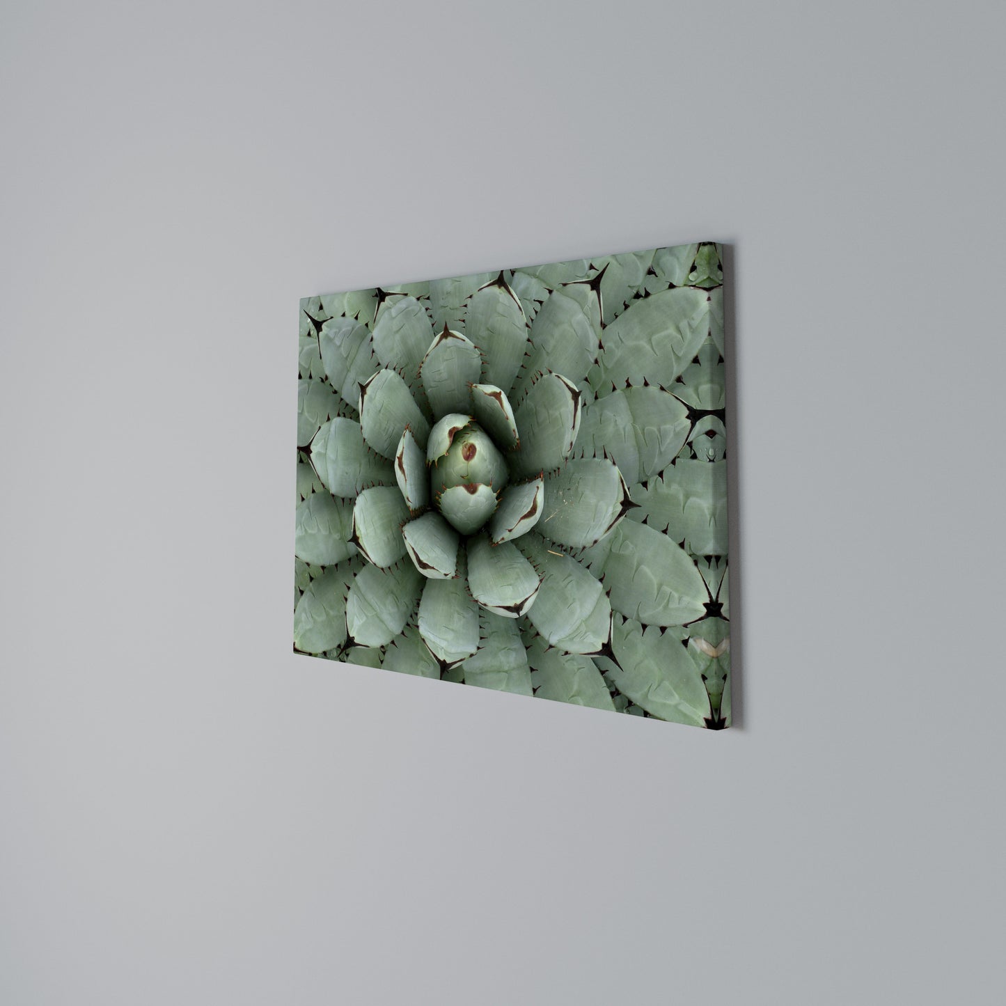 SUCCULENT SYMMETRY Stampa su tela orizzontale