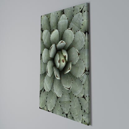 SUCCULENT SYMMETRY Stampa su Tela Verticale