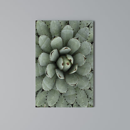 SUCCULENT SYMMETRY Stampa su Tela Verticale
