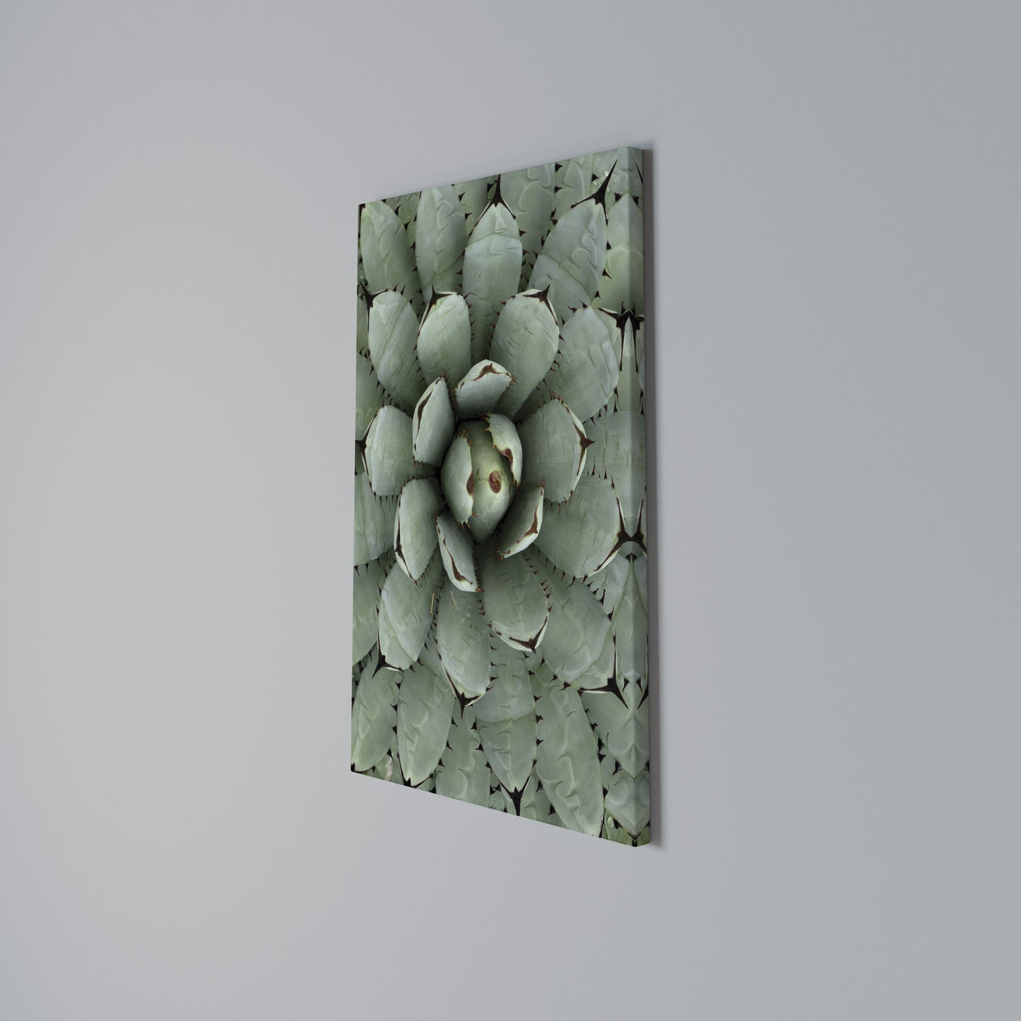 SUCCULENT SYMMETRY Stampa su Tela Verticale