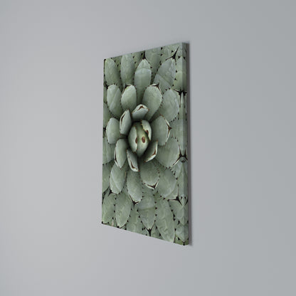 SUCCULENT SYMMETRY Stampa su Tela Verticale