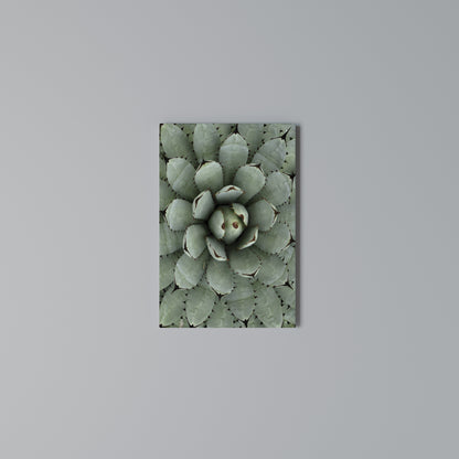 SUCCULENT SYMMETRY Stampa su Tela Verticale