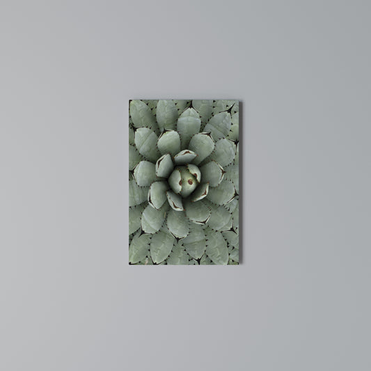 SUCCULENT SYMMETRY Stampa su Tela Verticale