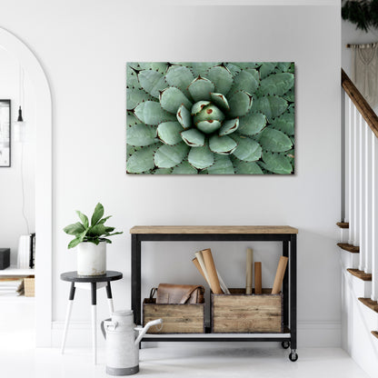 SUCCULENT SYMMETRY Stampa su tela orizzontale