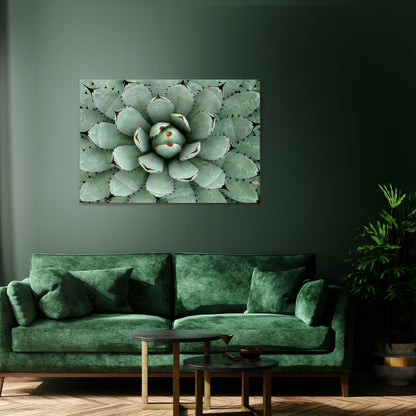 SUCCULENT SYMMETRY Stampa su tela orizzontale