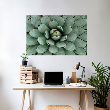 SIMMETRIA SUCCULENTA Poster orizzontale staccabile e attaccabile