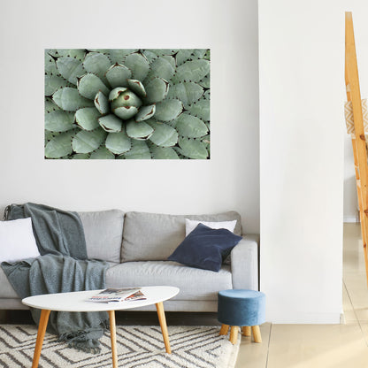 SIMMETRIA SUCCULENTA Poster orizzontale staccabile e attaccabile