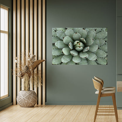 SIMMETRIA SUCCULENTA Poster orizzontale staccabile e attaccabile
