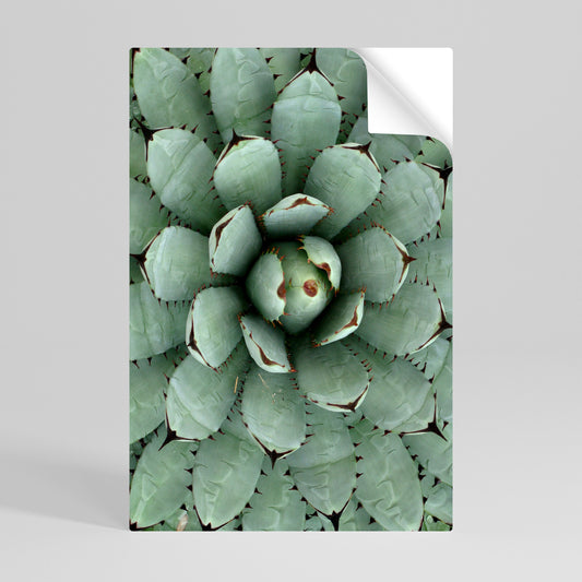 SIMMETRIA SUCCULENTA Poster verticale staccabile e attaccabile