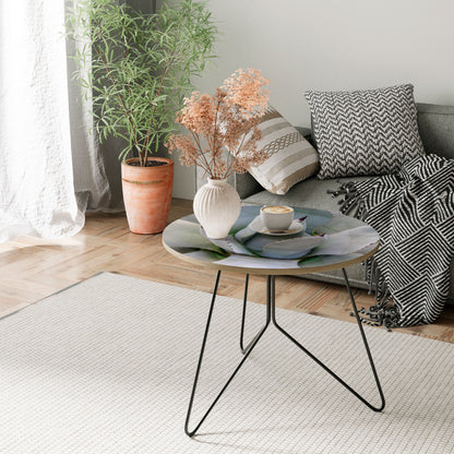 AGAVE ELEGANCE Coffee Table 69