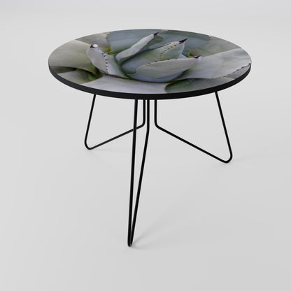 AGAVE ELEGANCE Coffee Table 69