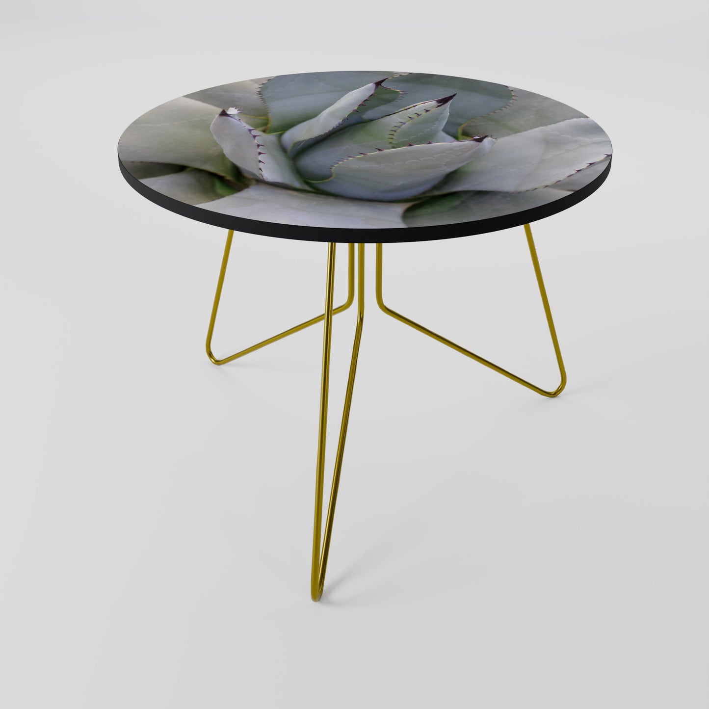 AGAVE ELEGANCE Coffee Table 69