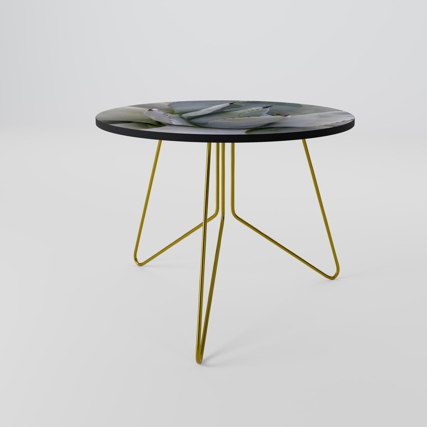 AGAVE ELEGANCE Coffee Table 69