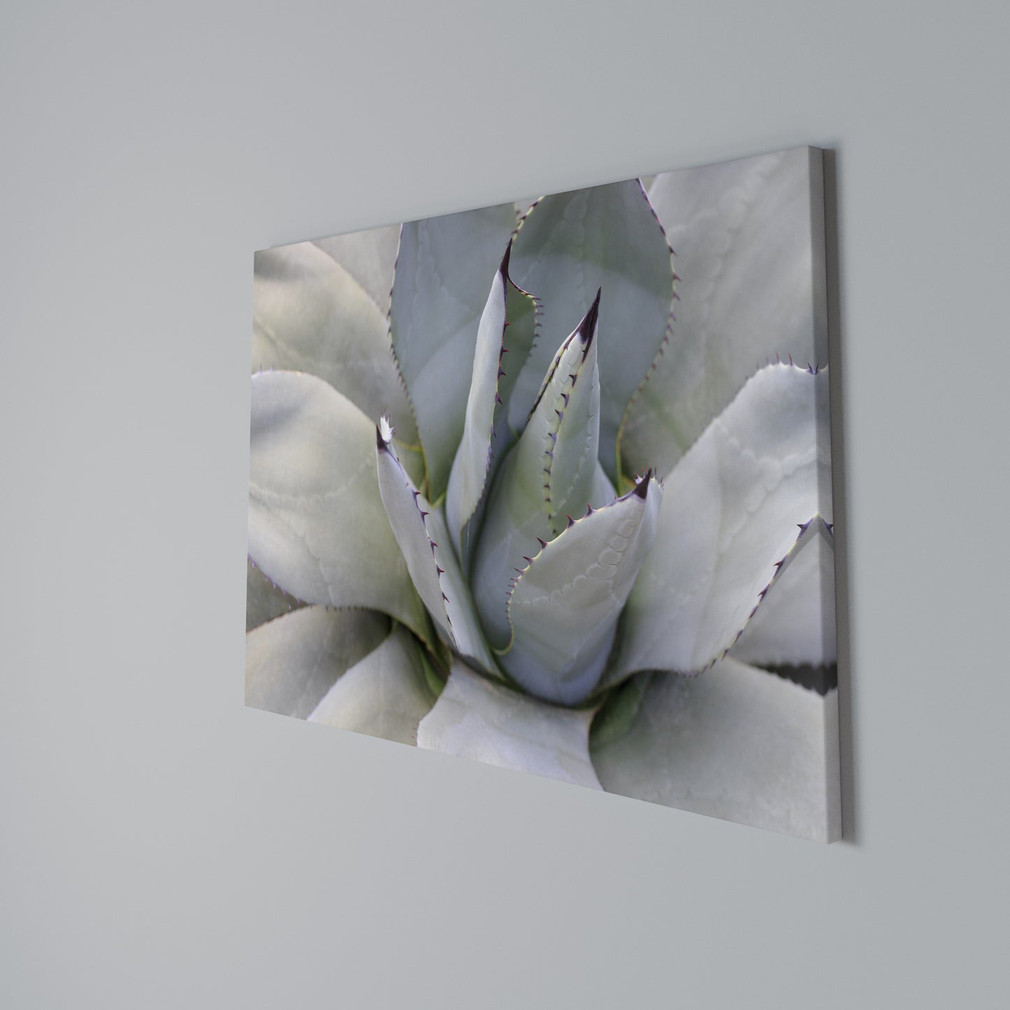 AGAVE ELEGANCE Stampa su tela orizzontale