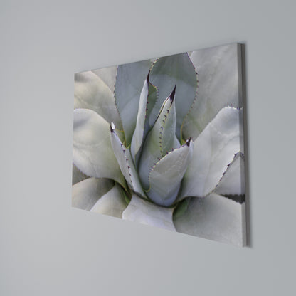 AGAVE ELEGANCE Stampa su tela orizzontale
