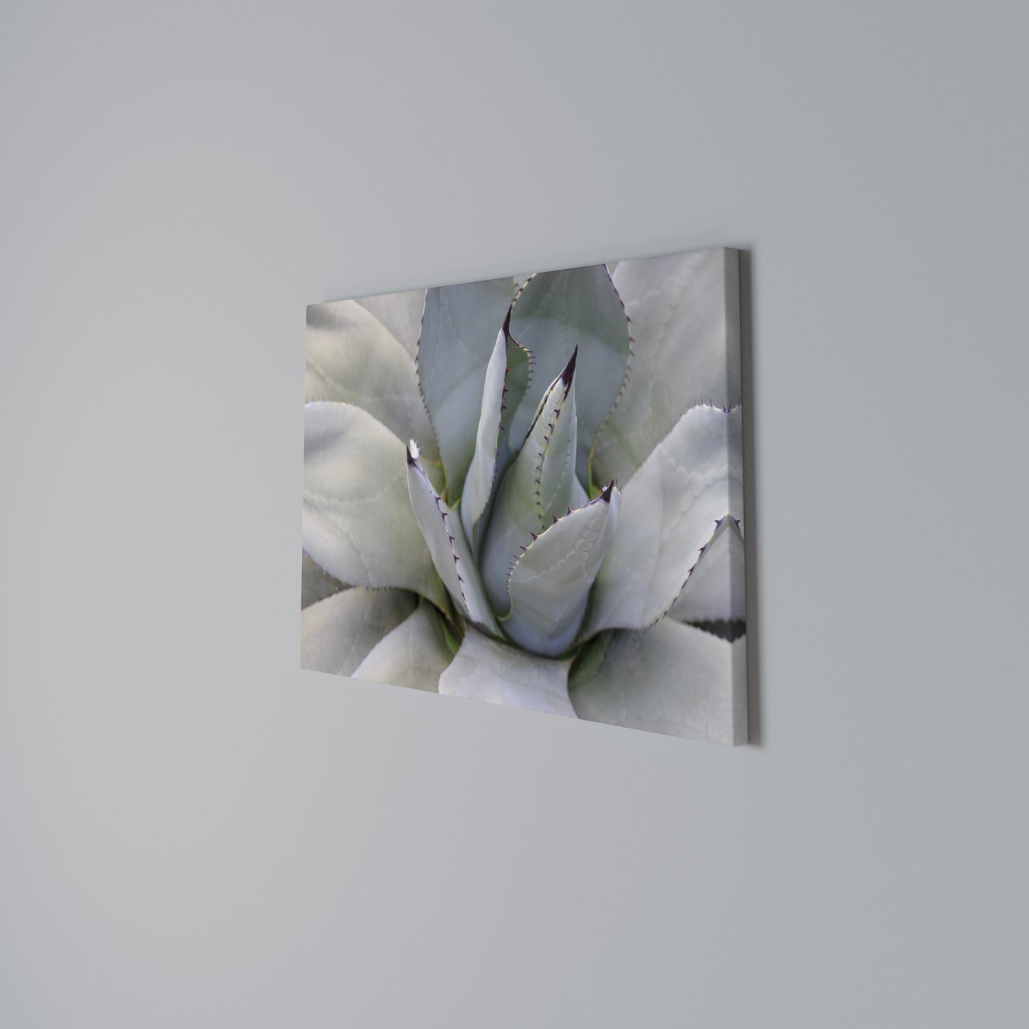 AGAVE ELEGANCE Stampa su tela orizzontale