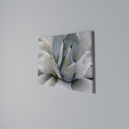 AGAVE ELEGANCE Stampa su tela orizzontale