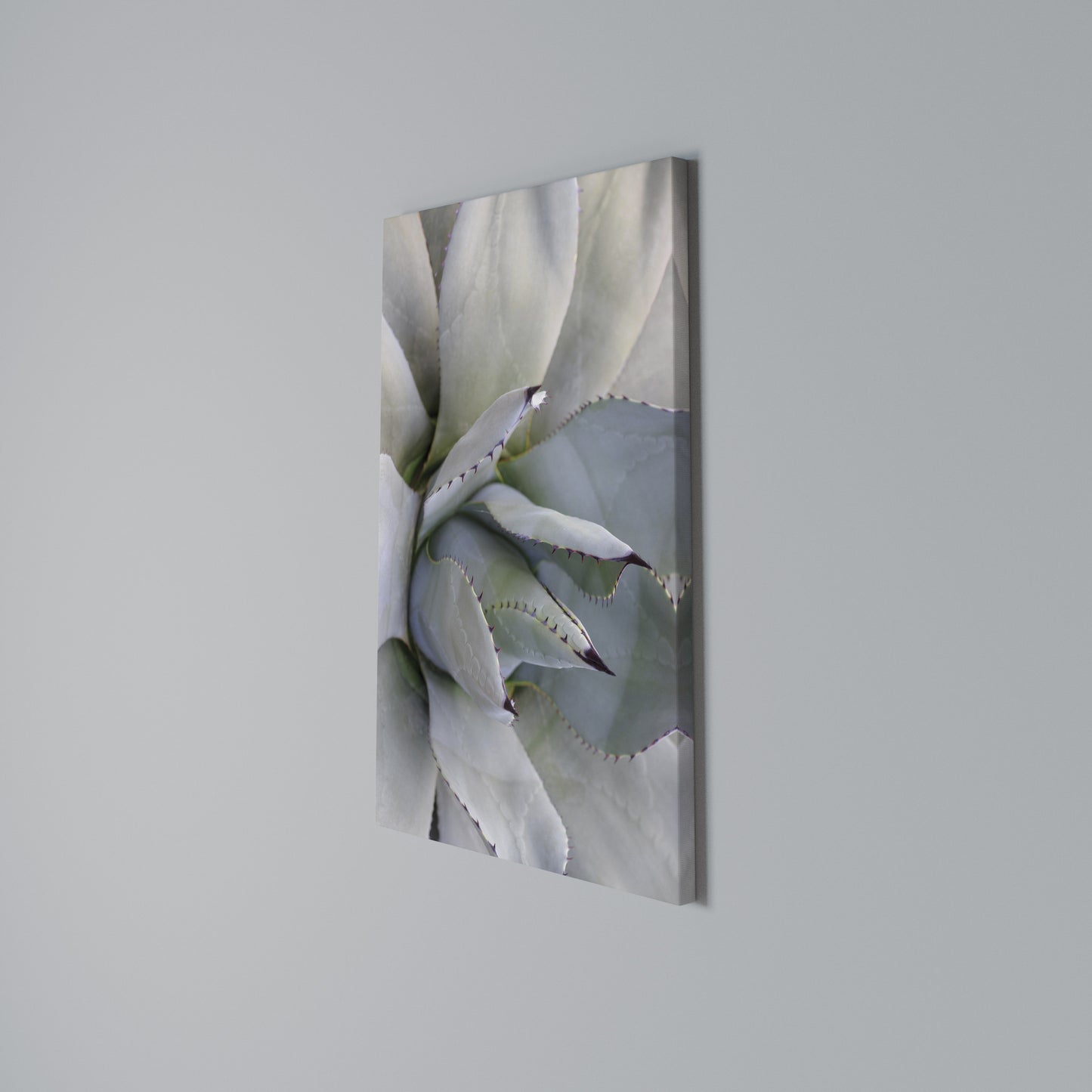 AGAVE ELEGANCE Vertical Canvas Print