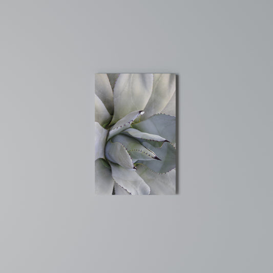 AGAVE ELEGANCE Stampa su Tela Verticale