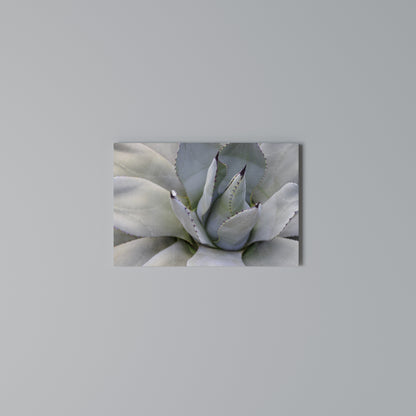 AGAVE ELEGANCE Stampa su tela orizzontale