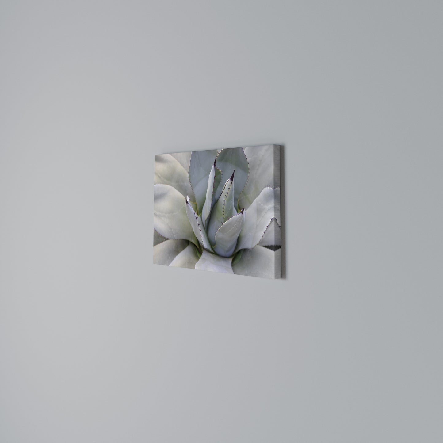 AGAVE ELEGANCE Stampa su tela orizzontale
