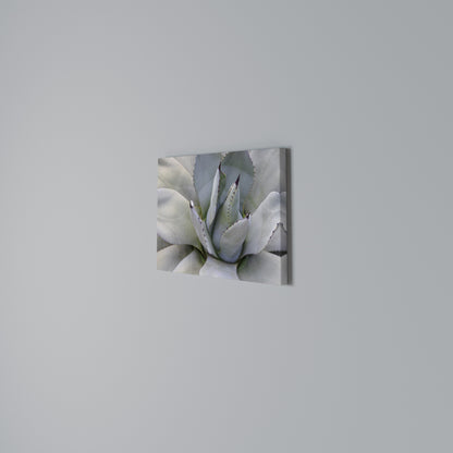 AGAVE ELEGANCE Stampa su tela orizzontale