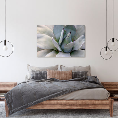 AGAVE ELEGANCE Stampa su tela orizzontale